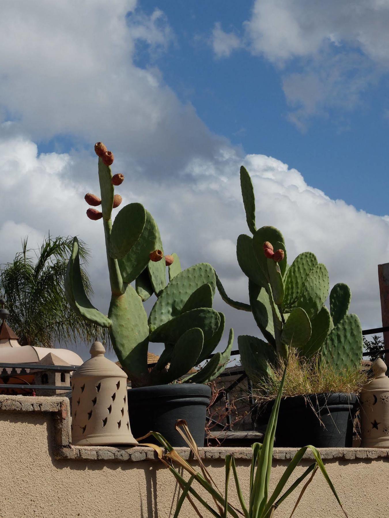 Riad Pierres Et Saveurs Soleil Marrakesh Exterior photo